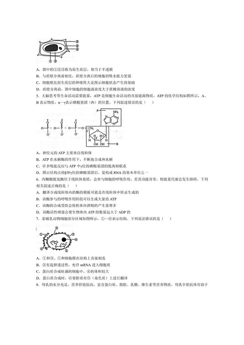 [生物]河北省邢台市之间联盟2024～2025学年高三上学期第一次月考(10月)试题(含答案)第2页