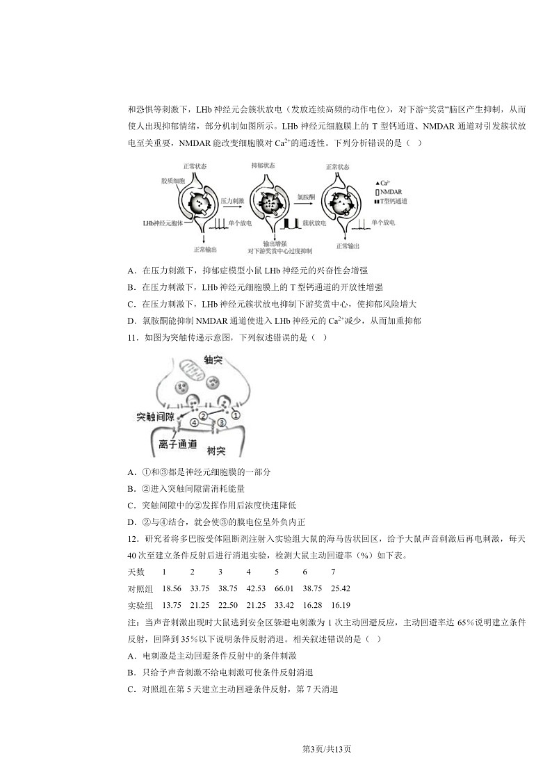 [生物]2024北京清华附中朝阳学校高二上学期10月月考试卷及答案第3页