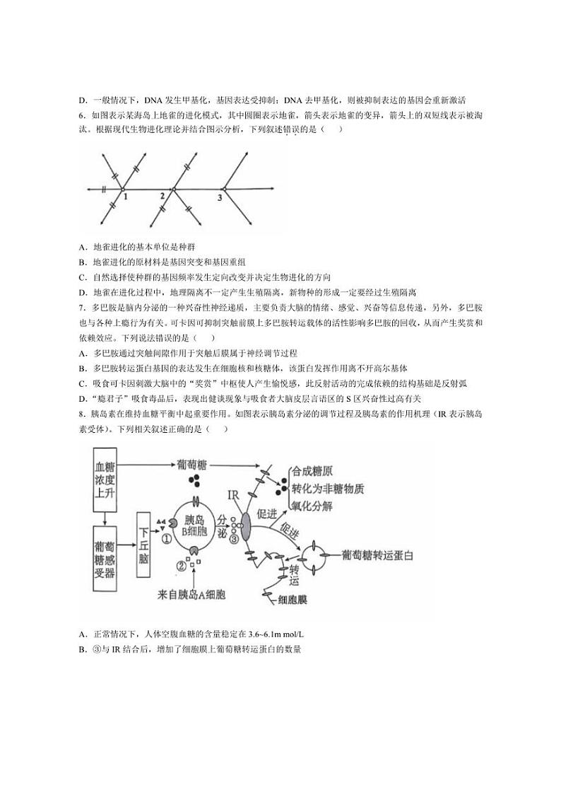 [生物]2025届安徽省江南十校高三上学期10月联考试题(含解析)第2页