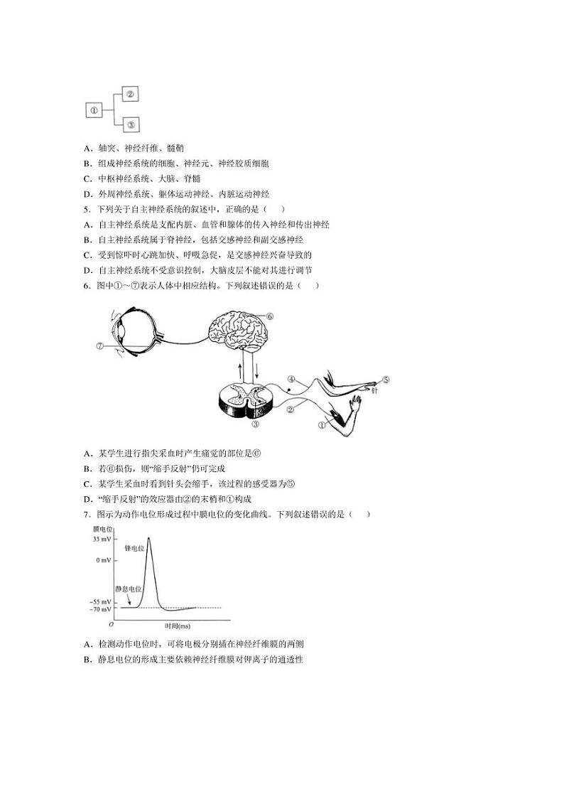 [生物]河南省十校2024～2025学年高二上学期10月月考试题(含解析)第2页
