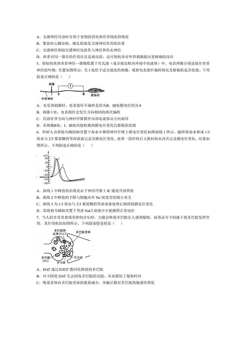 [生物]安徽省阜阳市亲情学校2024～2025学年高二上学期10月联考试卷(含答案)第2页
