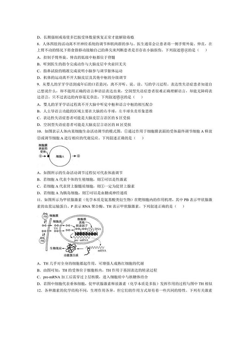 [生物]安徽省阜阳市亲情学校2024～2025学年高二上学期10月联考试卷(含答案)第3页