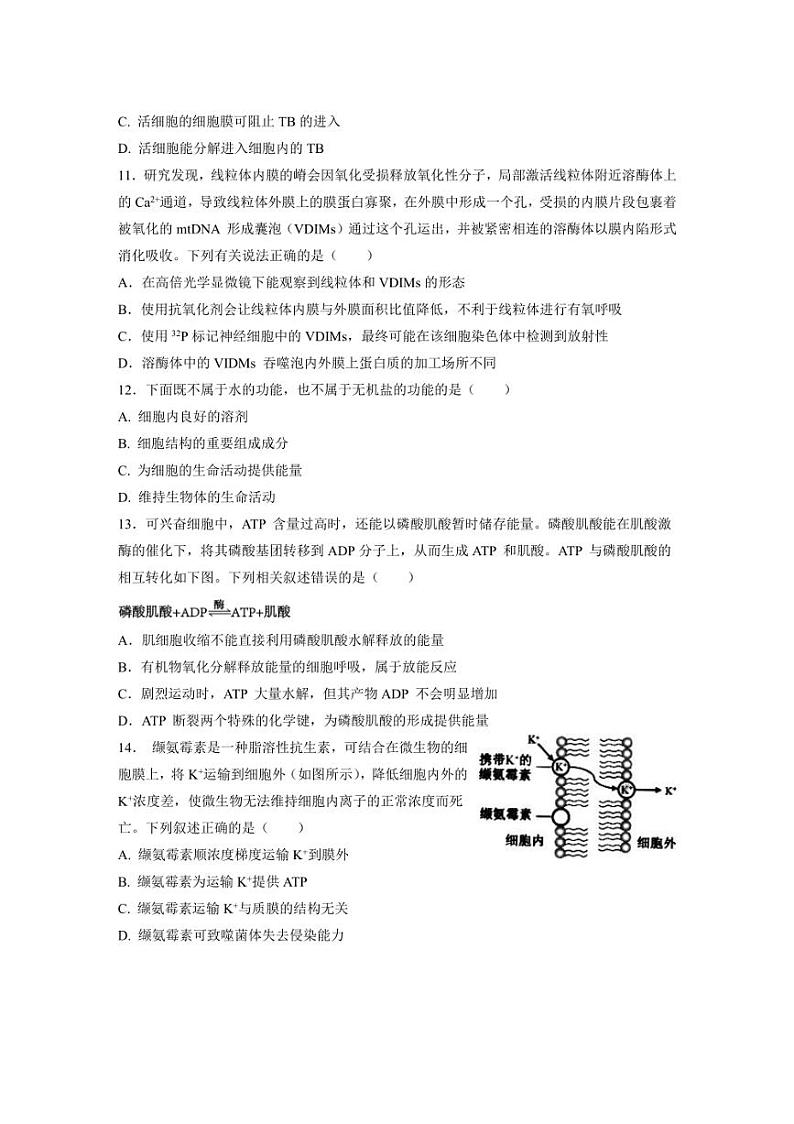 [生物]安徽省阜阳市临泉县安徽省临泉田家炳实验中学2024～2025学年高三上学期10月月考试题(含解析)03