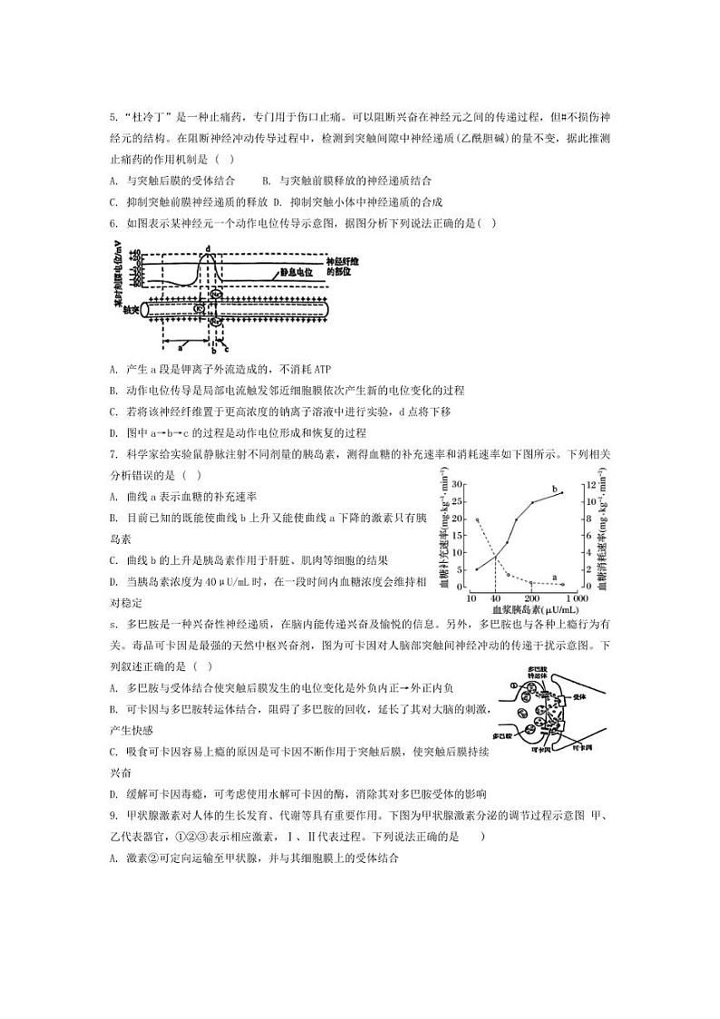 [生物]福建省厦门第六中学2024～2025学年高二上学期10月月考试题(含答案)第2页