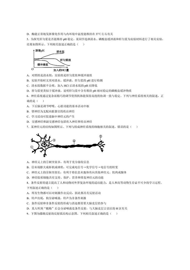 [生物]河北省邢台市临西县翰林中学等校2024～2025学年高二上学期第一次月考试题(含答案)第2页