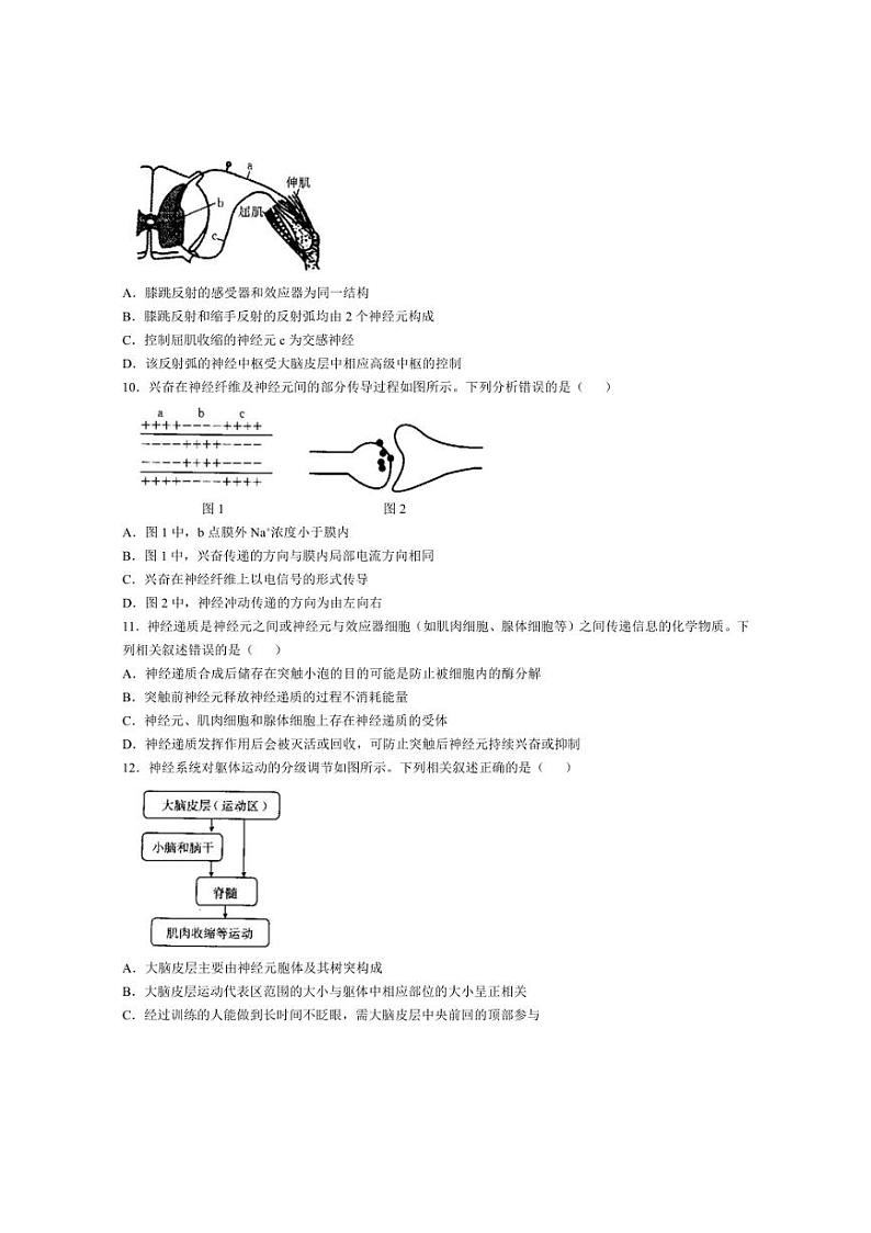 [生物]河北省邢台市临西县翰林中学等校2024～2025学年高二上学期第一次月考试题(含答案)第3页