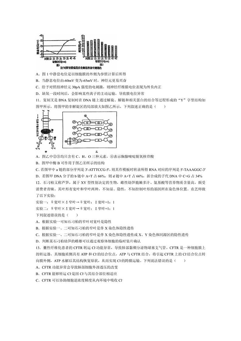 [生物]陕西省西安市碑林区西北工业大学附属中学2024～2025学年高二上学期月考试题(含答案)第3页