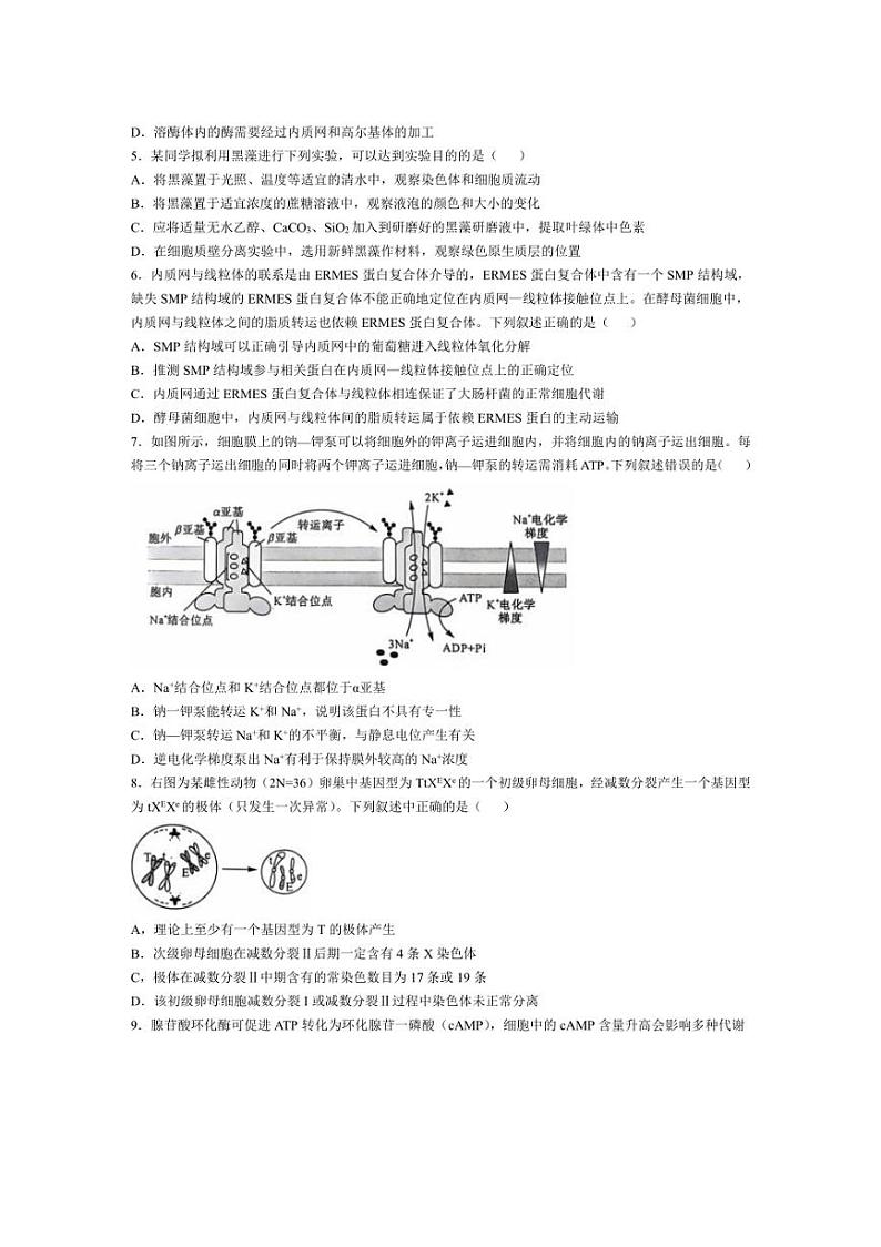 [生物]陕西省榆林市府谷县2024～2025学年高三上学期10月月考试题(含答案)02