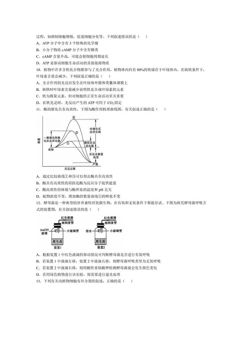 [生物]陕西省榆林市府谷县2024～2025学年高三上学期10月月考试题(含答案)03