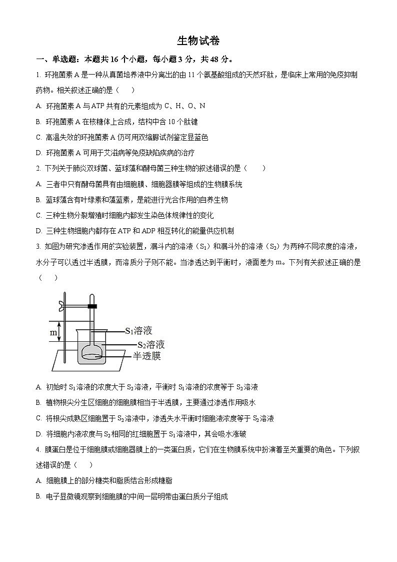 四川省成都列五2024-2025学年高三上学期9月月考试卷+生物（含答案）01