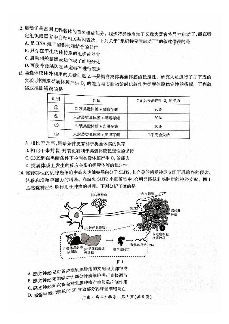 广东省2025届高三上学期10月阶段检测考试卷+生物第3页