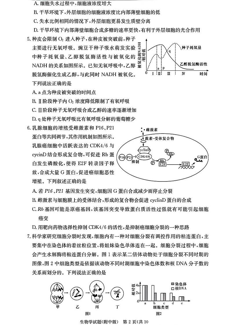 湖南师大附校2025届高三月考试卷（二）+生物第2页