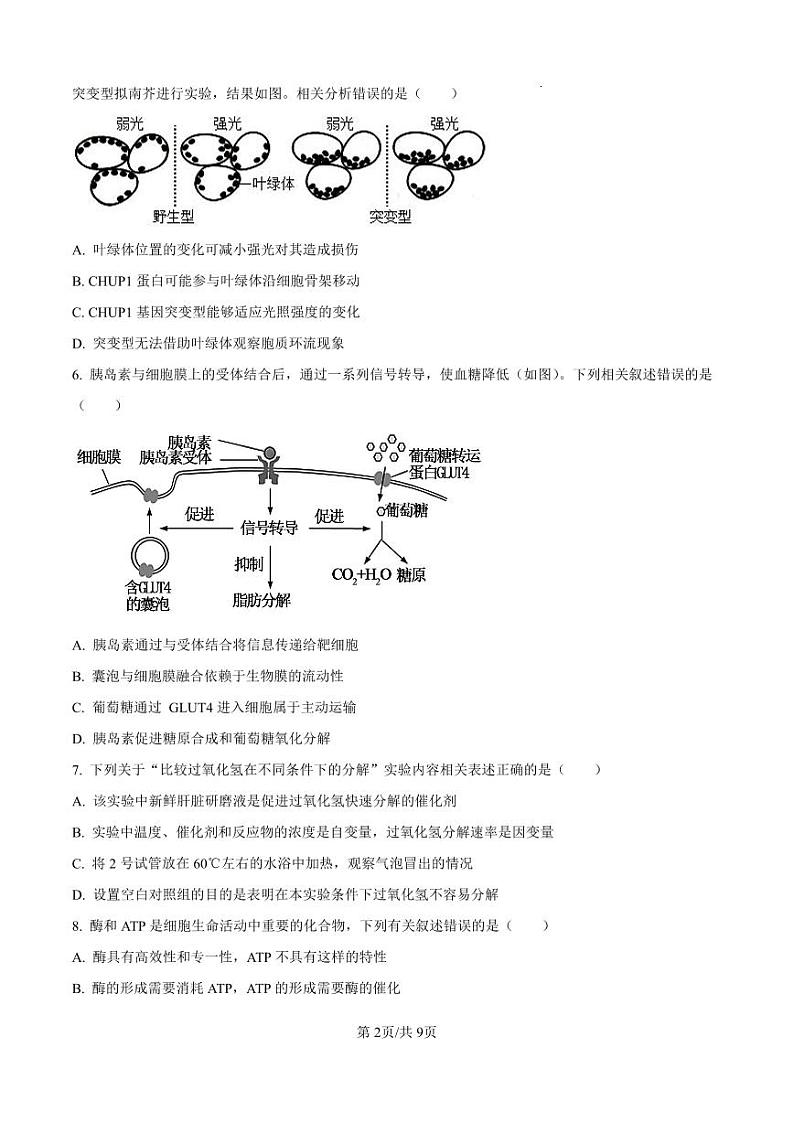 湖南省长沙市周南2025届高三上学期第二阶段考试卷+生物第2页