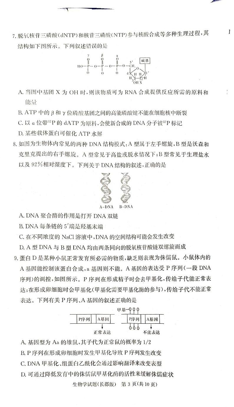 湖南省长沙市长郡2025届高三上学期月考试卷（二）生物第3页