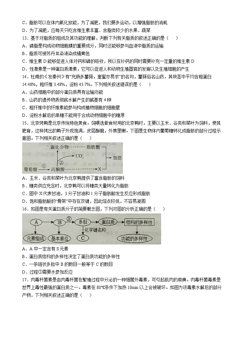 河北省廊坊市文安县第一中学2024-2025学年高一上学期开学生物试题(无答案)03