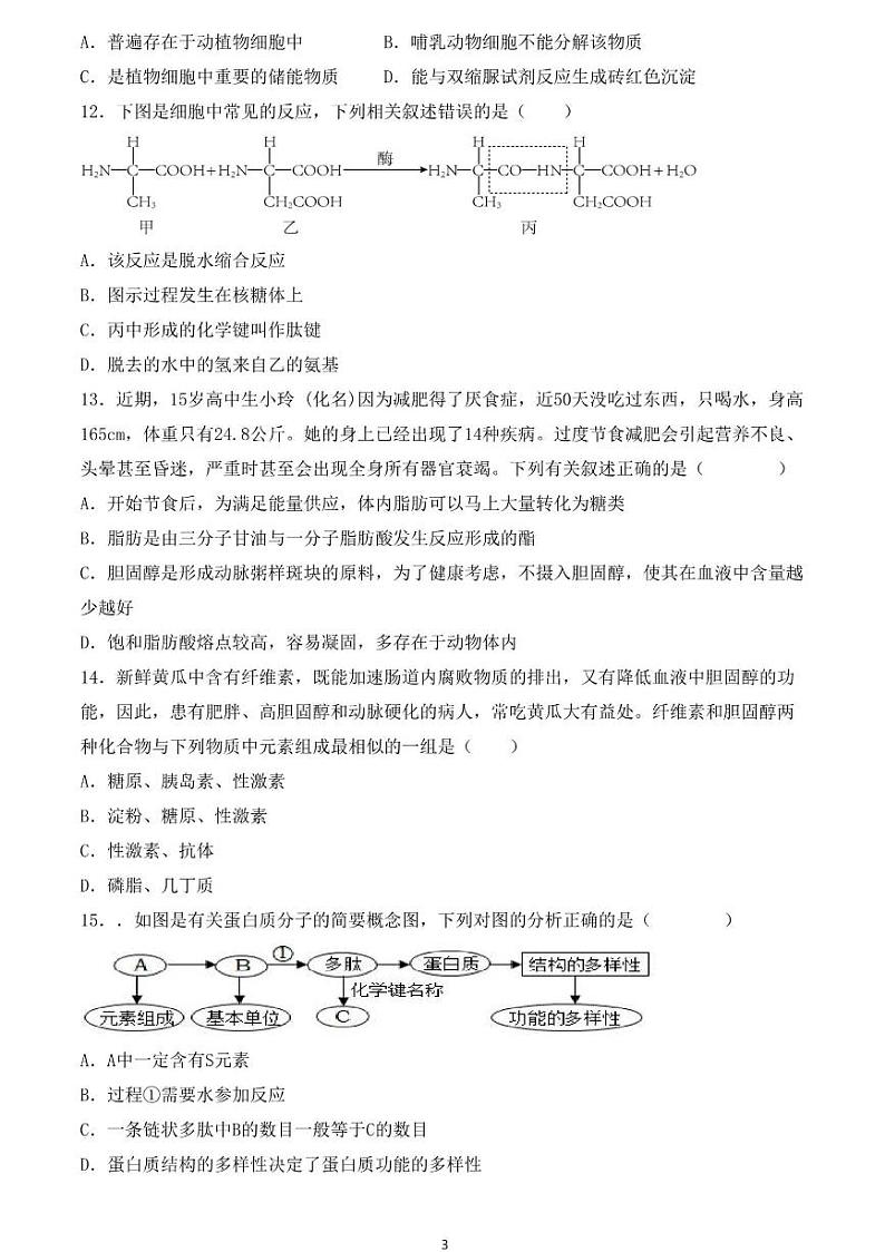 福建省宁德市柘荣县柘荣县第一中学2024-2025学年高一上学期10月月考生物试题03