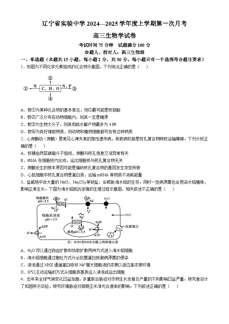 辽宁省实验中学2025届高三上学期第一次月考 生物第1页