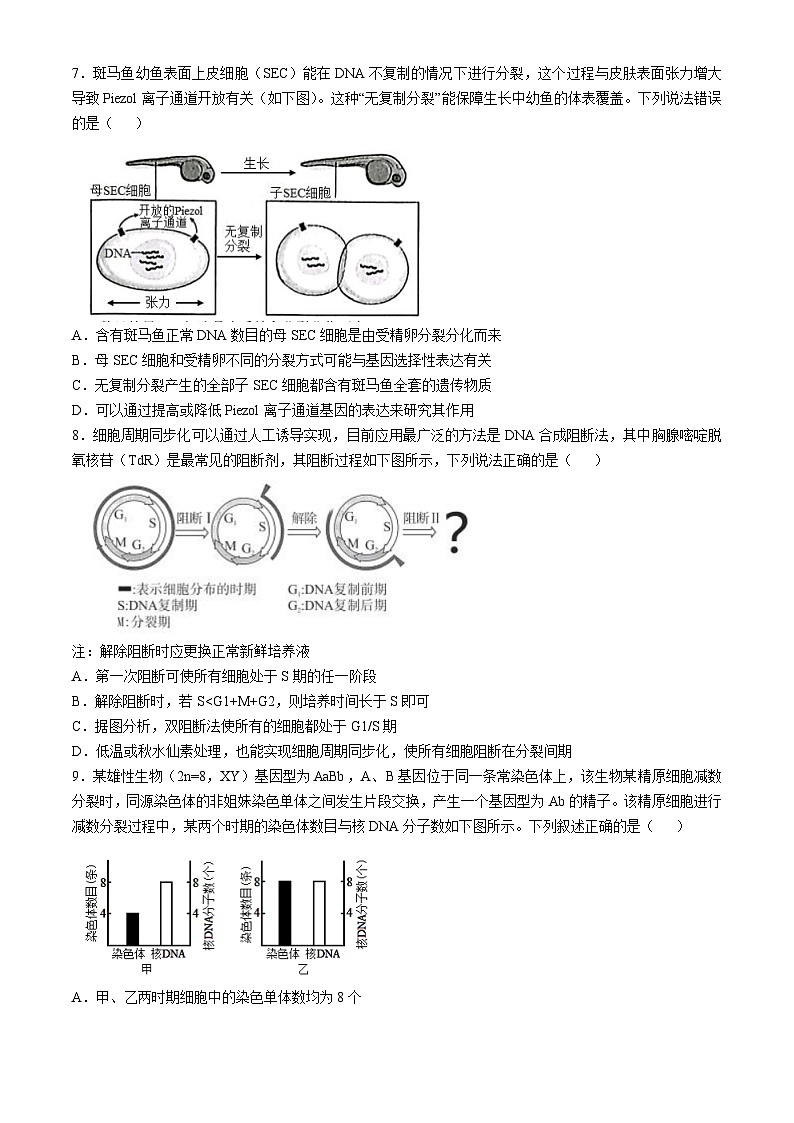 辽宁省实验中学2025届高三上学期第一次月考 生物第3页