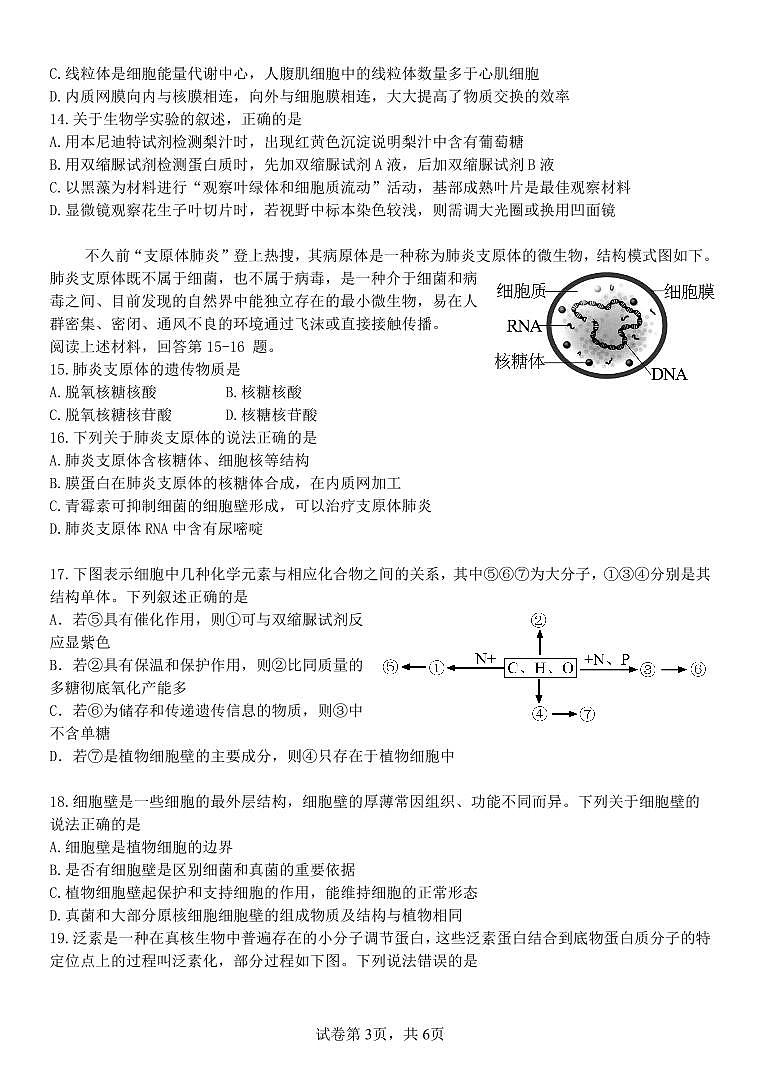 浙江省丽水市“五校高中发展共同体”2024-2025学年高一上学期10月联考生物试题03