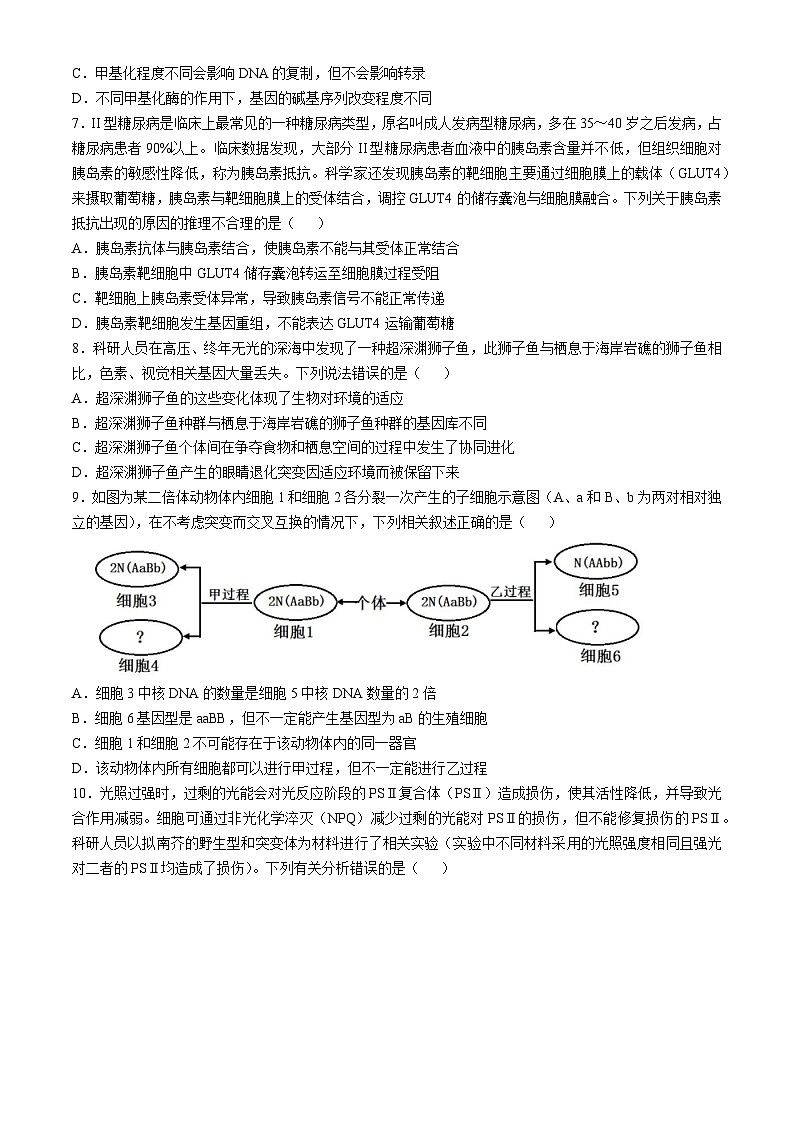 浙江省杭州第二中学2024-2025学年高三上学期第二次月考生物试卷第2页