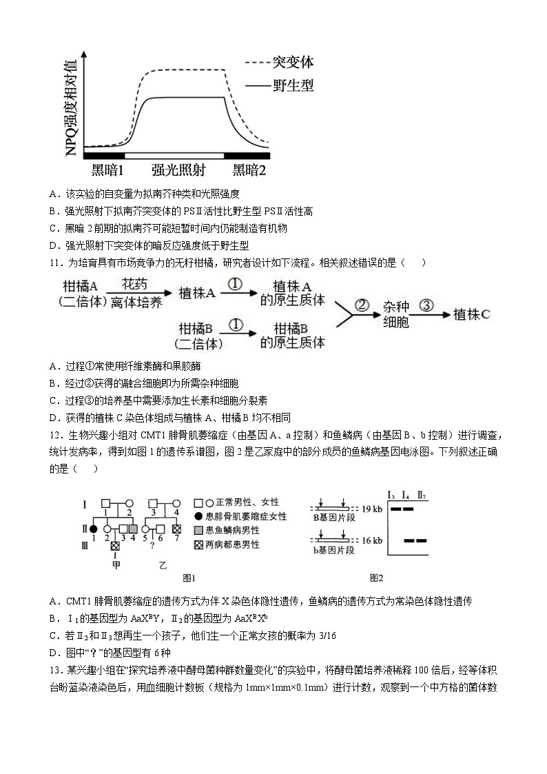 浙江省杭州第二中学2024-2025学年高三上学期第二次月考生物试卷第3页