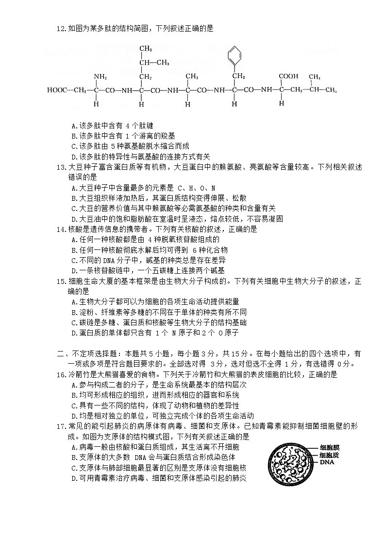 山东省菏泽市鄄城县第一中学2024~2025学年高一上学期10月月考生物试题第3页