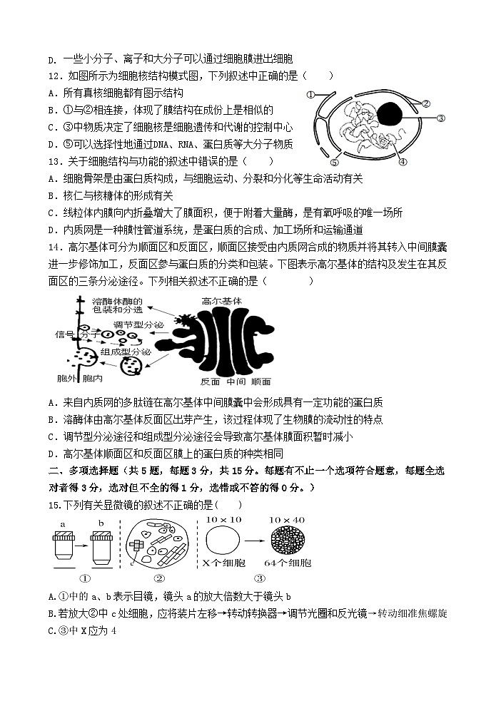 江苏省连云港市灌南县灌南县惠泽高级中学2024-2025学年高一上学期10月月考生物试题第3页