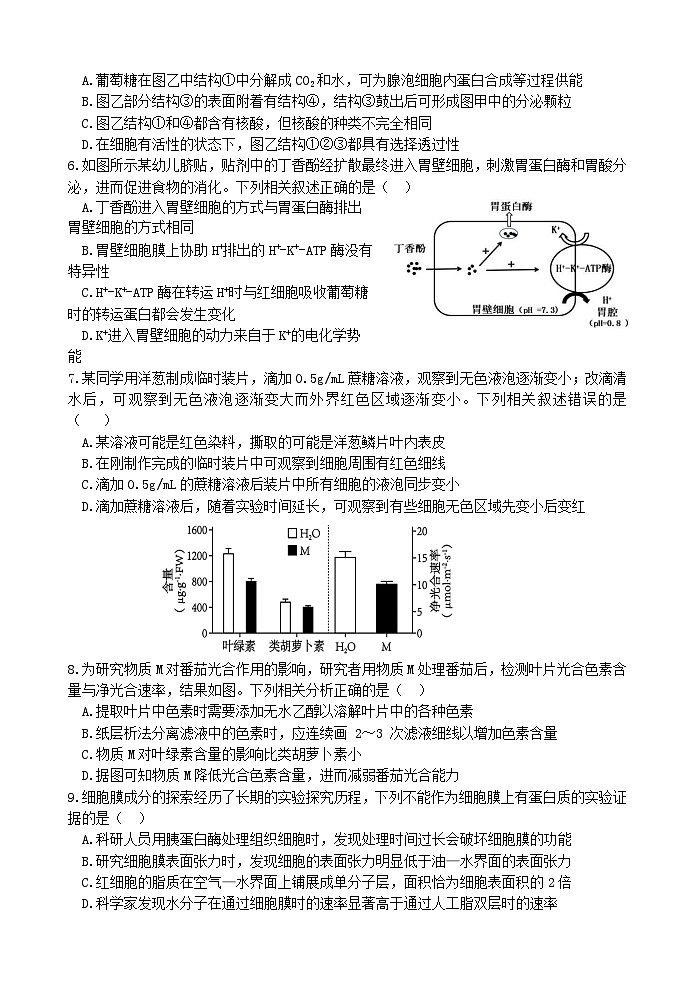 江苏省连云港市灌南县灌南县惠泽高级中学2024-2025学年高三上学期10月月考生物试题第2页