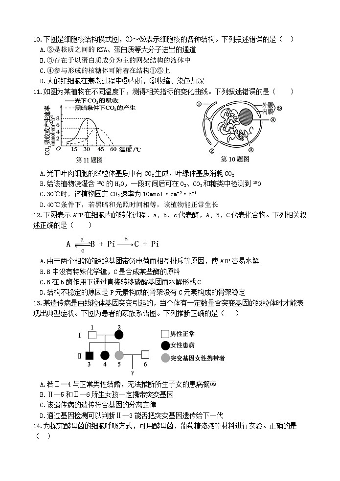 江苏省连云港市灌南县灌南县惠泽高级中学2024-2025学年高三上学期10月月考生物试题第3页