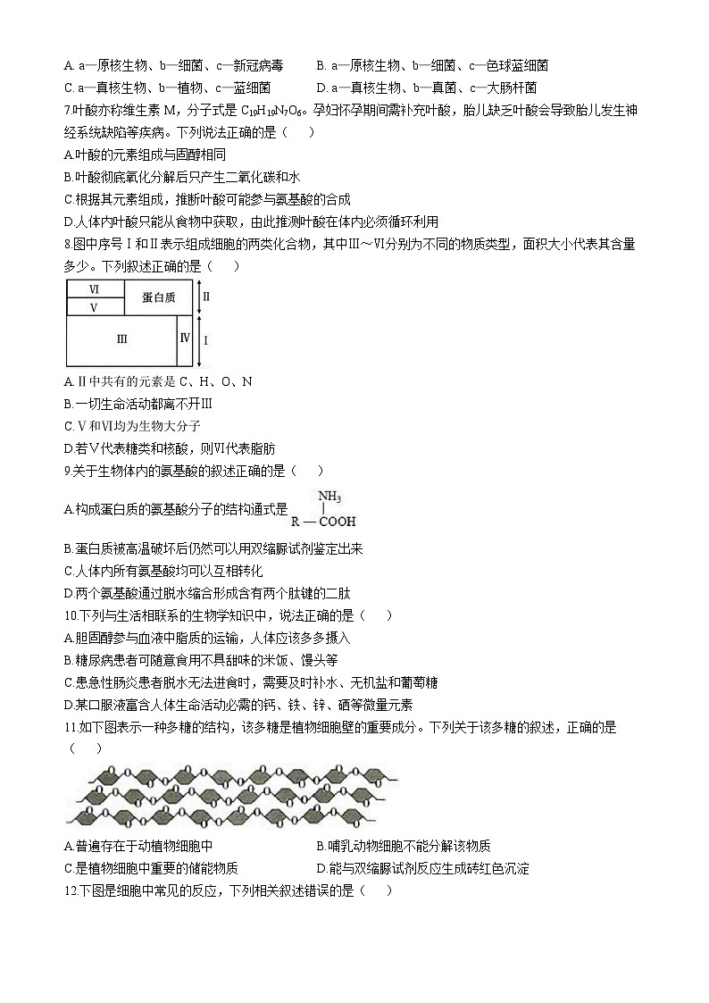 福建省宁德市柘荣县柘荣县第一中学2024-2025学年高一上学期10月月考生物试题(无答案)第2页