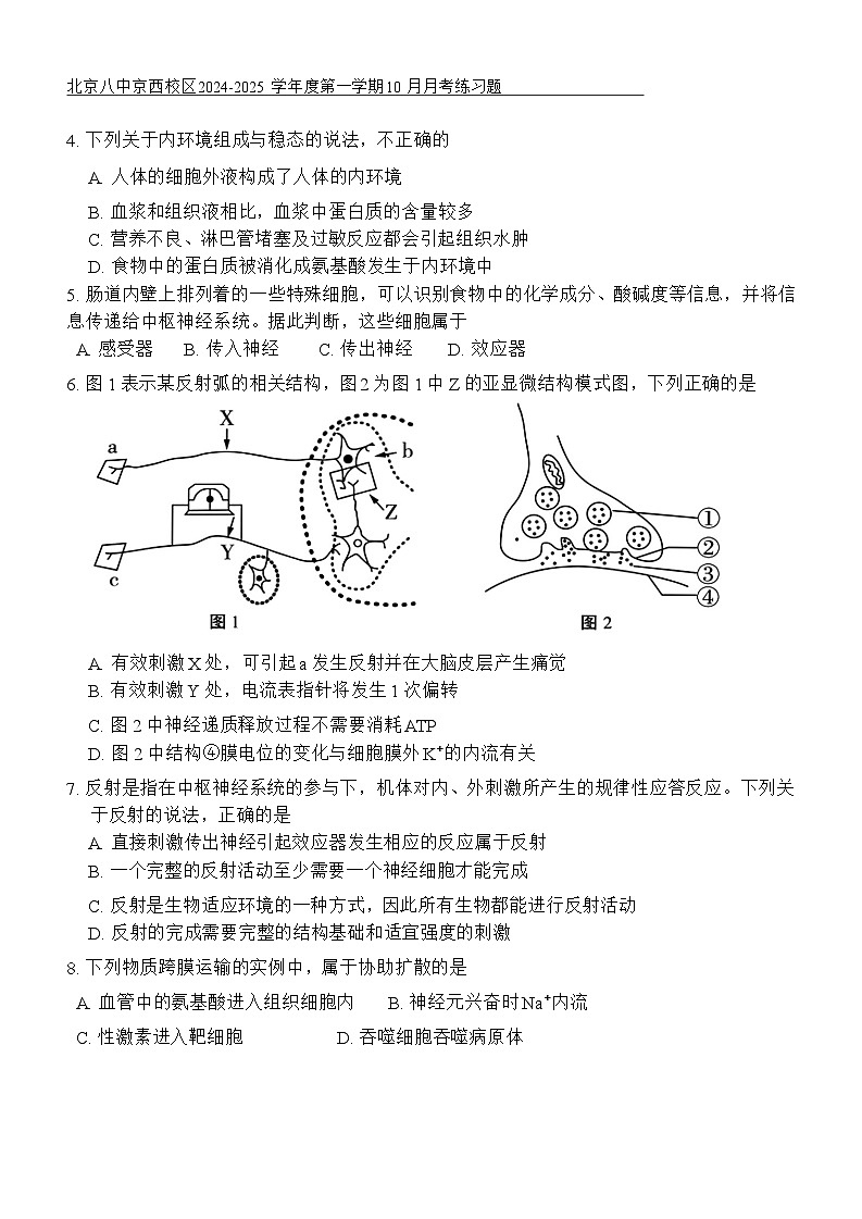 北京市第八中学京西校区2024-2025学年高二上学期10月月考生物练习题02