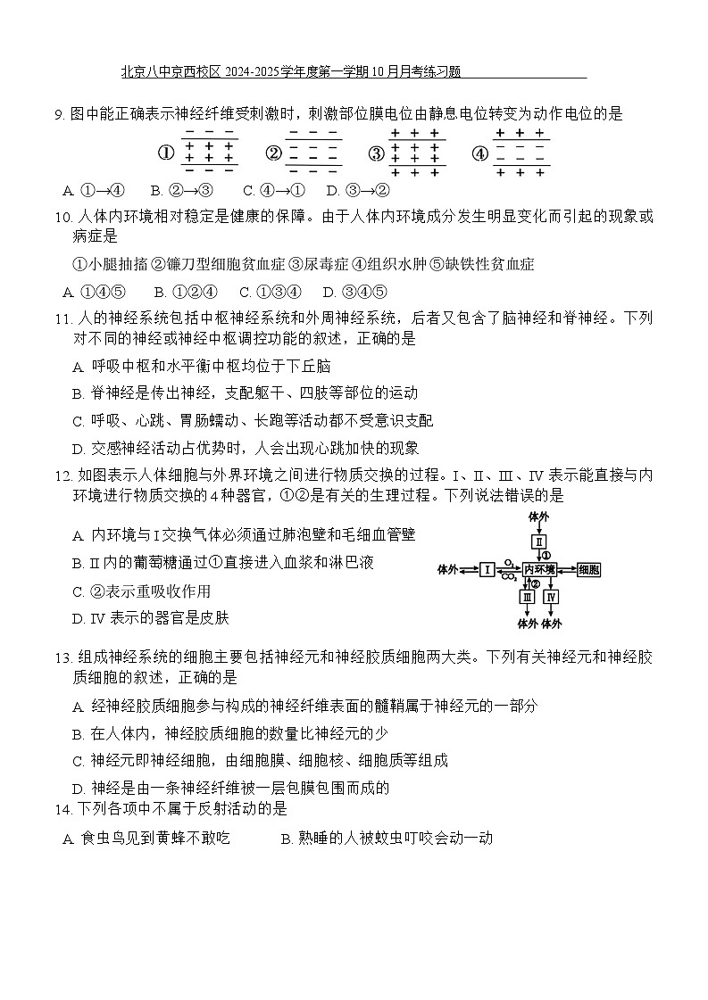 北京市第八中学京西校区2024-2025学年高二上学期10月月考生物练习题03