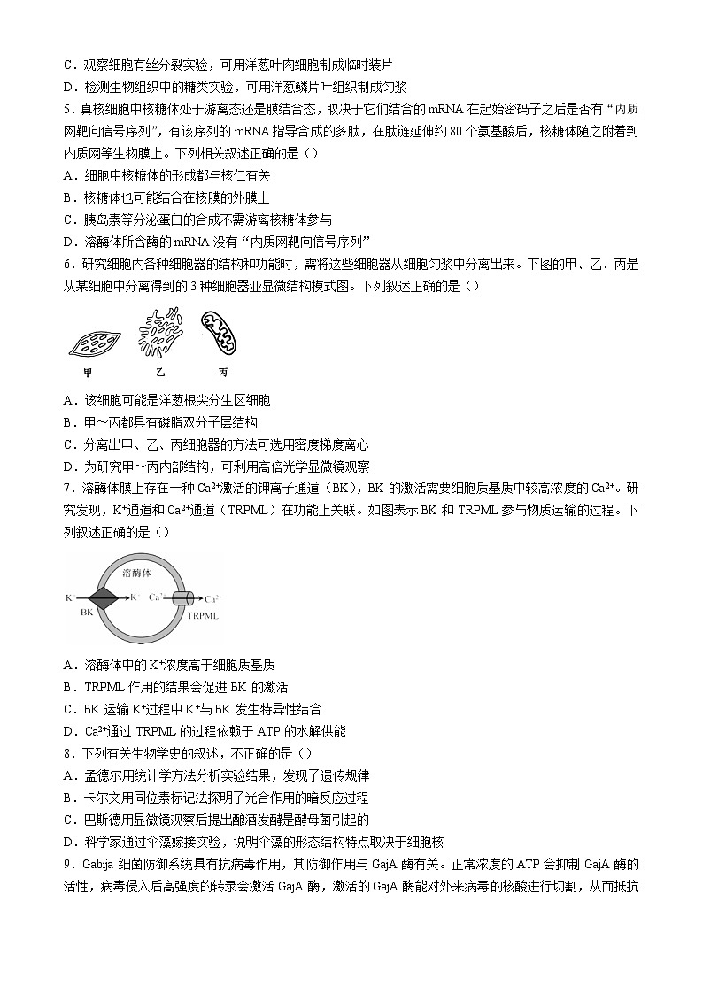 广东省深圳市罗湖区深圳中学2024-2025学年高三上学期10月月考生物试题02