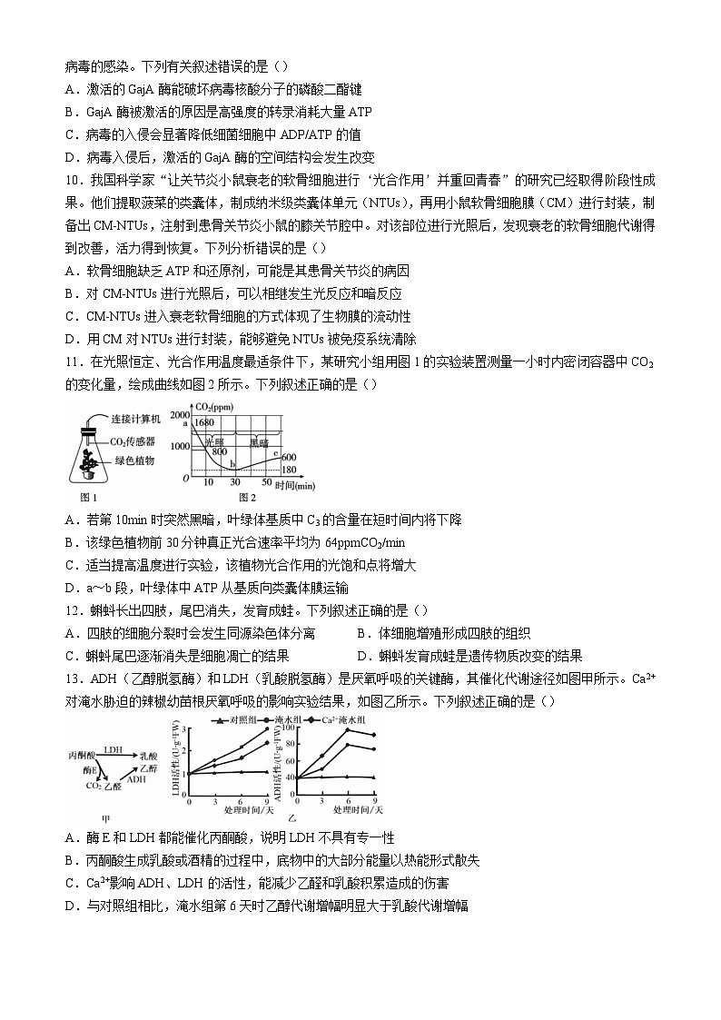 广东省深圳市罗湖区深圳中学2024-2025学年高三上学期10月月考生物试题03
