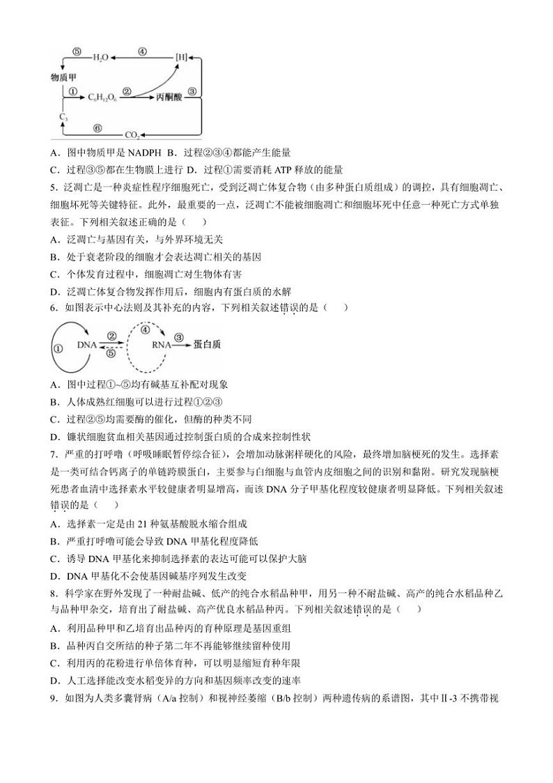 [生物]甘肃省金昌市永昌县第一高级中学2024～2025学年高三上学期第一次月考试卷(有答案)第2页
