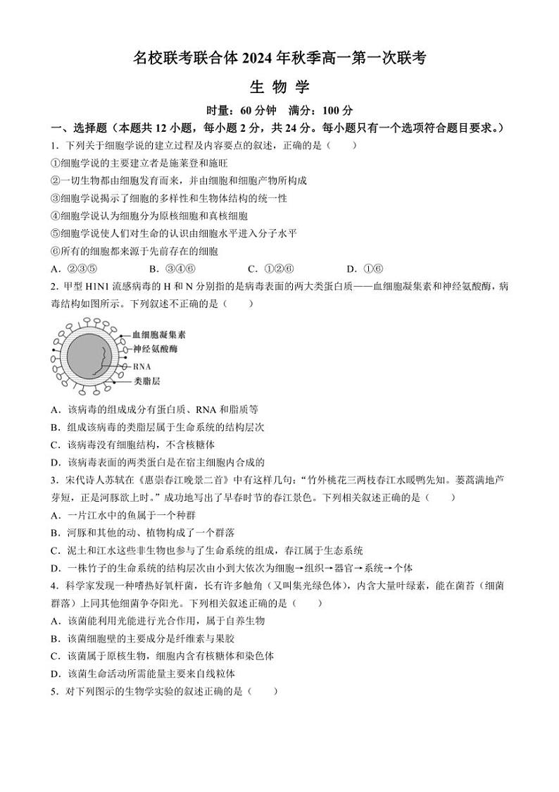 [生物]湖南省名校联考联合体2024～2025学年高一上学期第一次联考月考试题(有答案)第1页