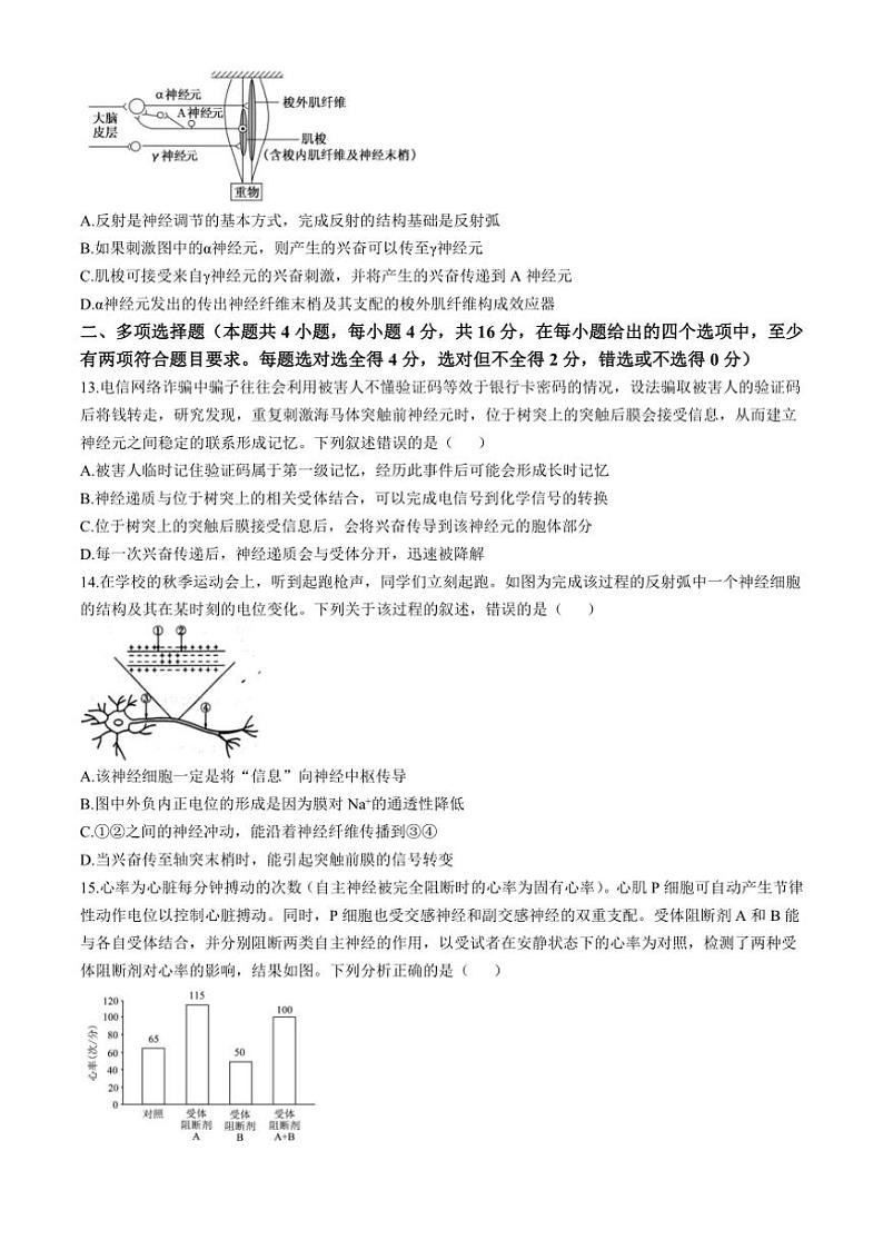 [生物]江西省南昌市东湖区南昌市第十九中学2024～2025学年高二上学期10月月考试题(有答案)第3页