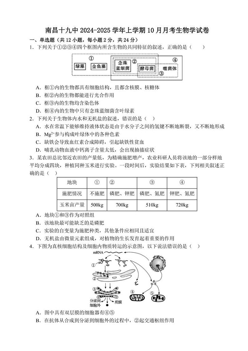 [生物]江西省南昌市东湖区南昌市第十九中学2024～2025学年高三上学期10月月考试题(有答案)01