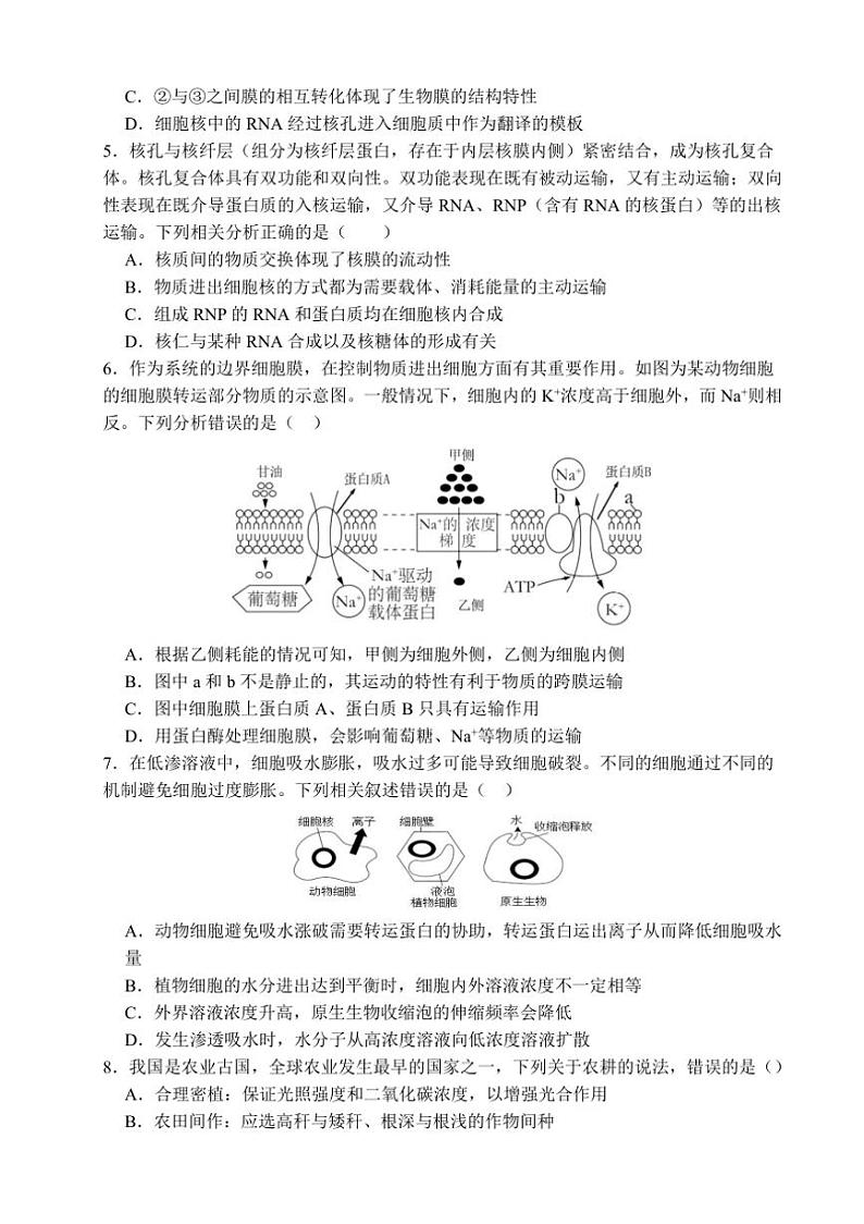 [生物]江西省南昌市东湖区南昌市第十九中学2024～2025学年高三上学期10月月考试题(有答案)02