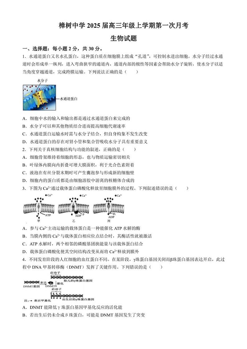 [生物]江西省樟树中学2024～2025学年高三上学期第一次月考试题(有答案)01