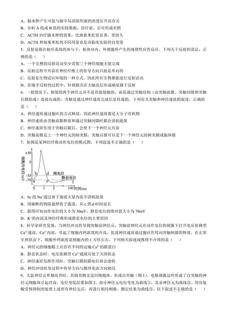 [生物]山东省济宁市邹城市第一中学2024～2025学年高二上学期10月月考试题(有答案)02