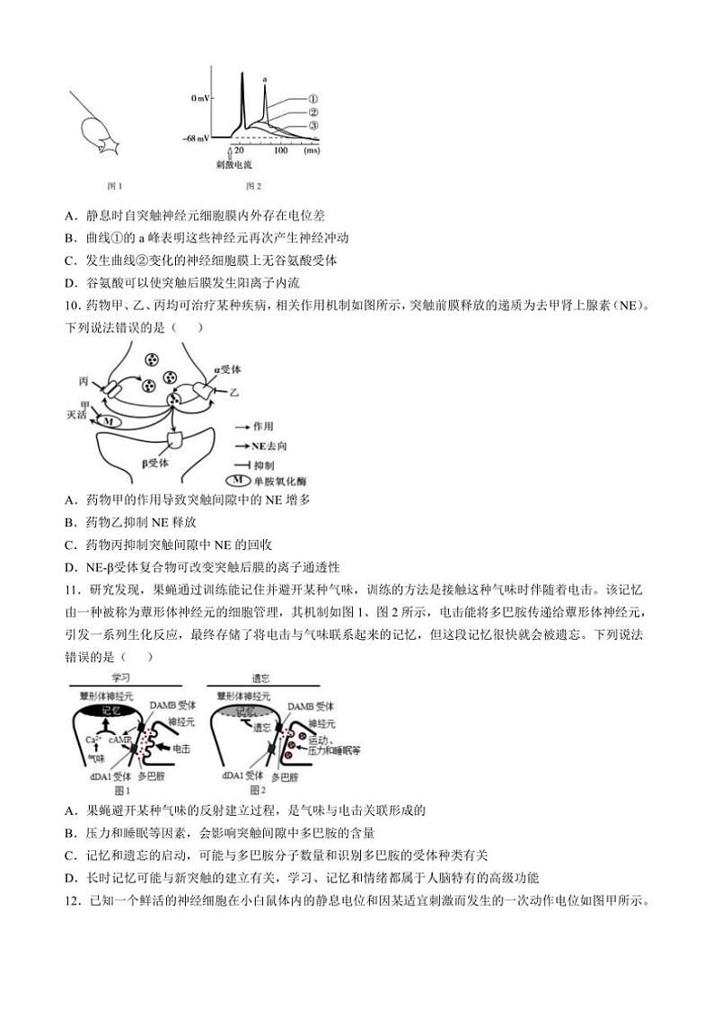 [生物]山东省济宁市邹城市第一中学2024～2025学年高二上学期10月月考试题(有答案)03