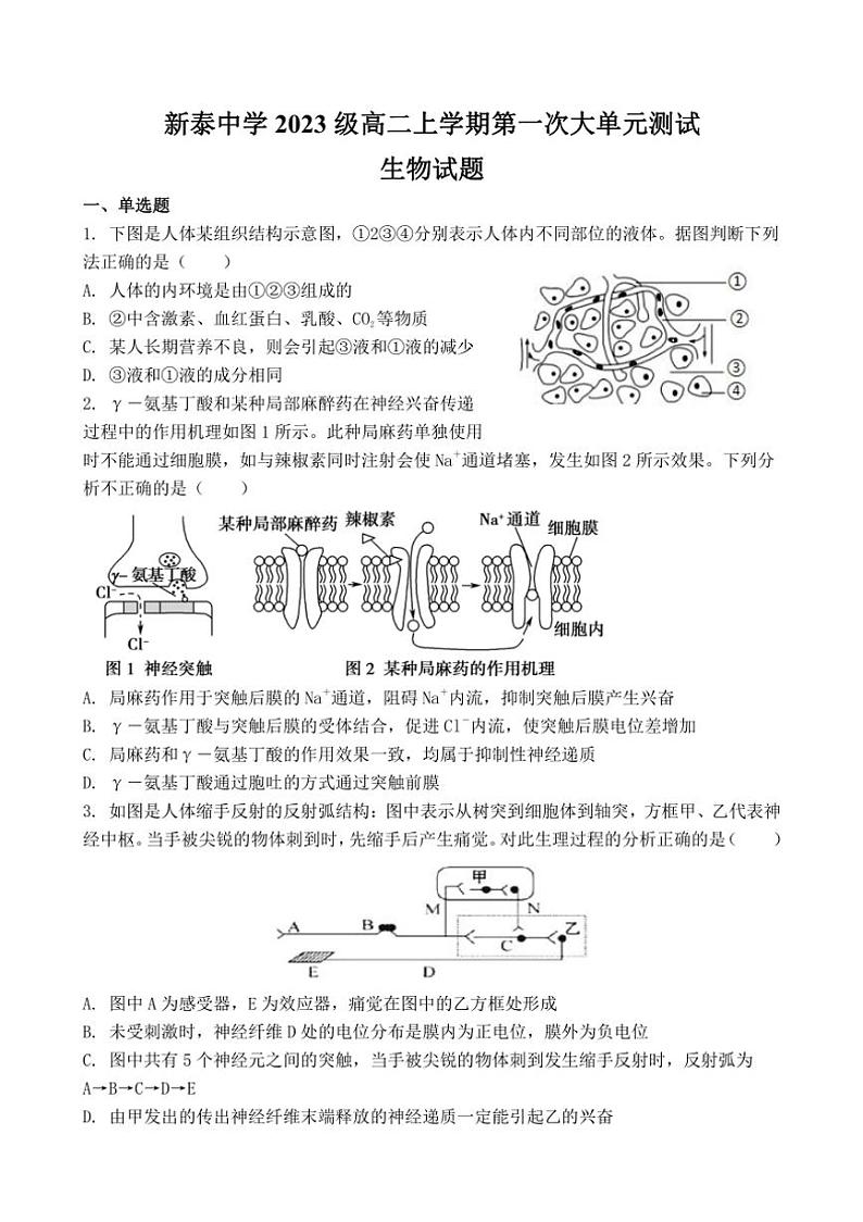 [生物]山东省泰安市新泰第一中学老校区(新泰中学)2024～2025学年高二上学期第一次月考试题(有答案)01