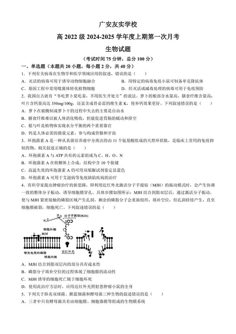 [生物]四川省广安市友实学校2024～2025学年高三上学期10月月考试题(有答案)第1页