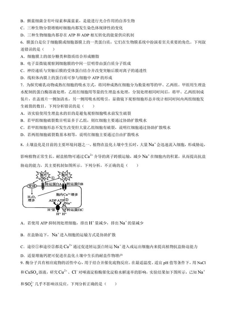 [生物]四川省广安市友实学校2024～2025学年高三上学期10月月考试题(有答案)第2页