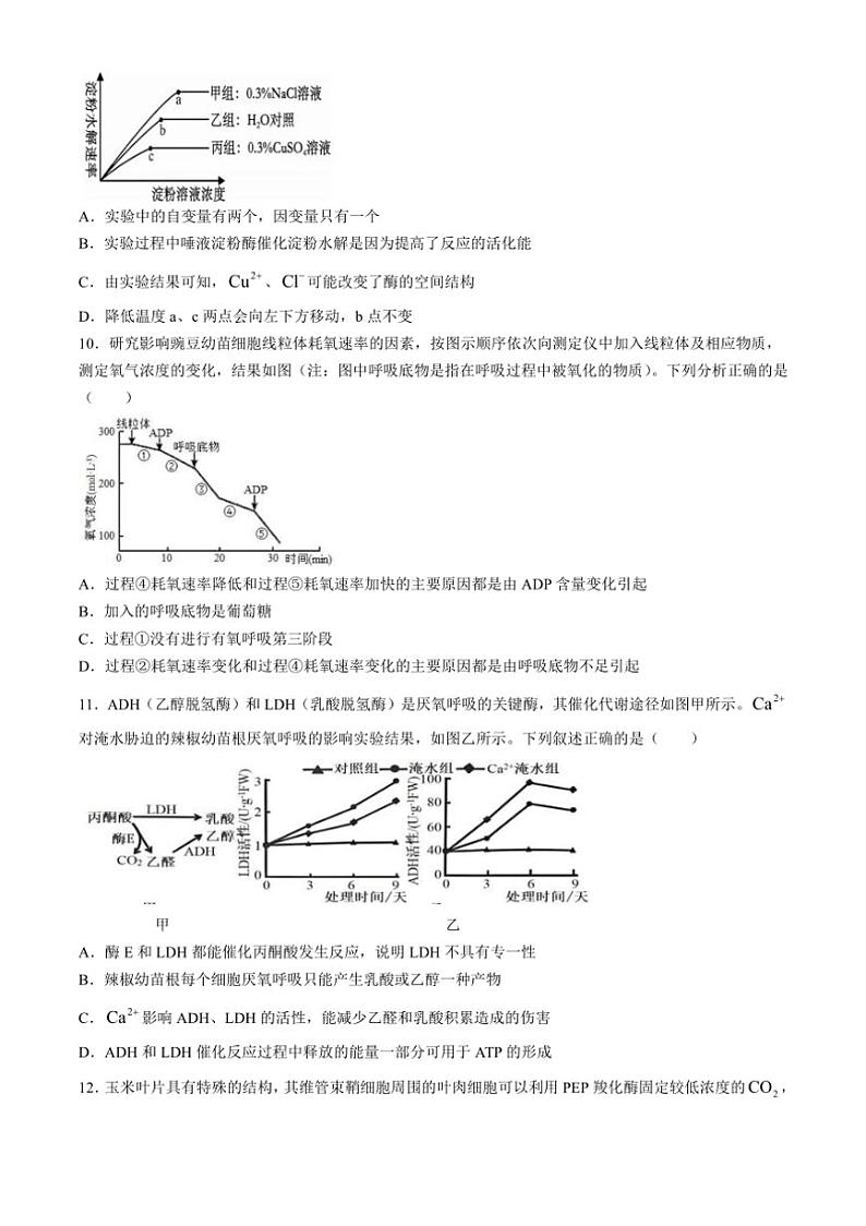 [生物]四川省广安市友实学校2024～2025学年高三上学期10月月考试题(有答案)第3页