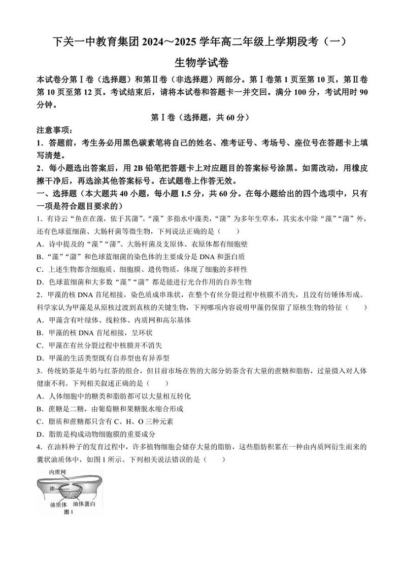 [生物]云南省大理白族自治州下关一中教育集团2024～2025学年高二上学期10月月考试题(有答案)01
