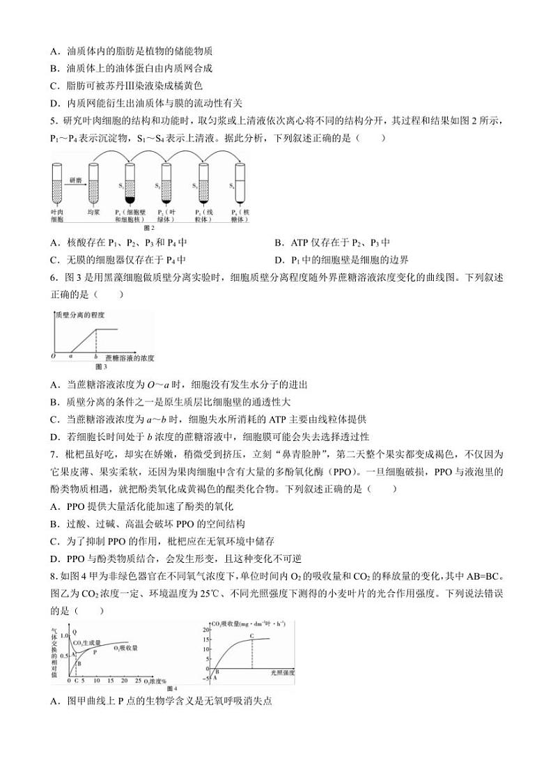 [生物]云南省大理白族自治州下关一中教育集团2024～2025学年高二上学期10月月考试题(有答案)02