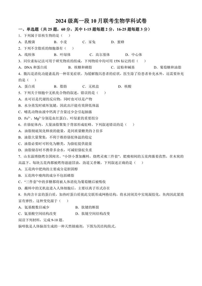 [生物]浙江省育英中学温州第十四高级中学2024～2025学年高一上学期10月联考试题(有答案)第1页