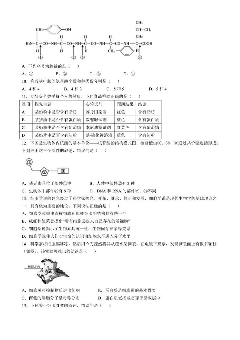 [生物]浙江省育英中学温州第十四高级中学2024～2025学年高一上学期10月联考试题(有答案)第2页